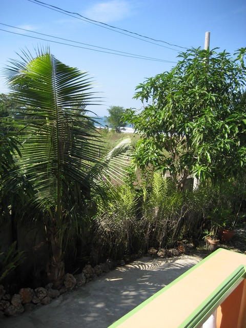 View from terrace to beach