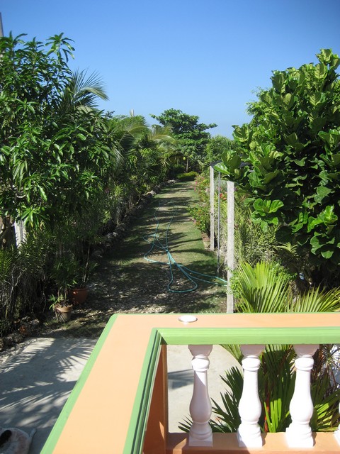 View down garden path